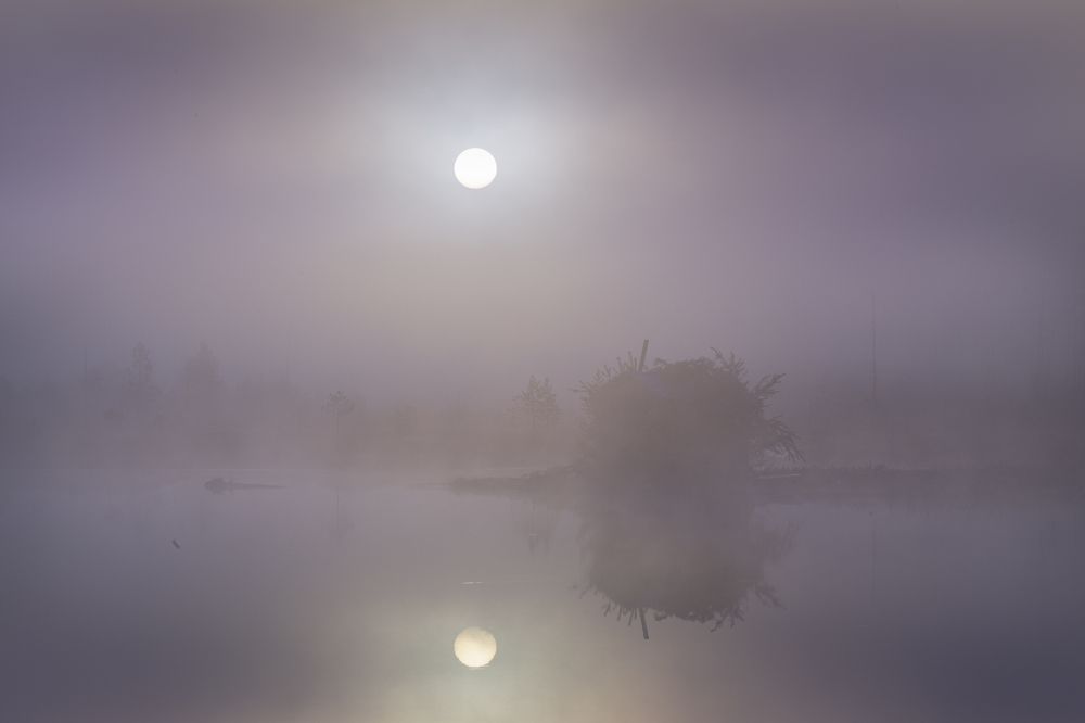 Photograph by Татьяна Борисова