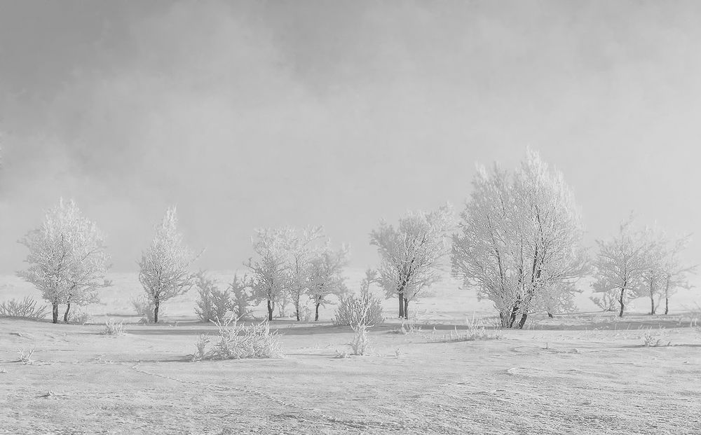 Photograph by Олег Белан