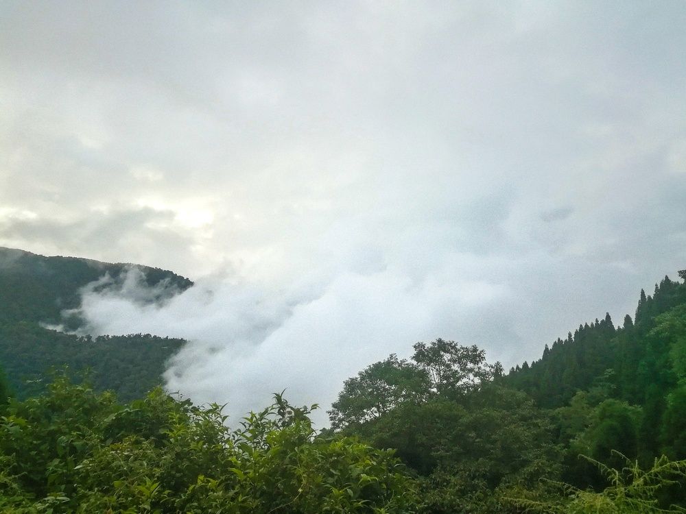 Inside fog cover the mountain