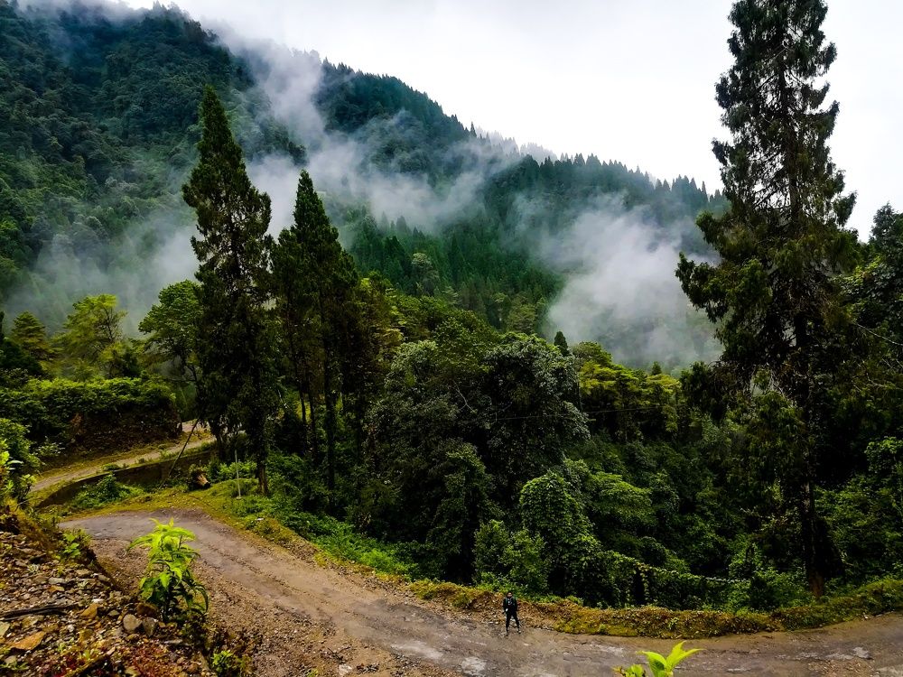 Inside fog cover the mountain