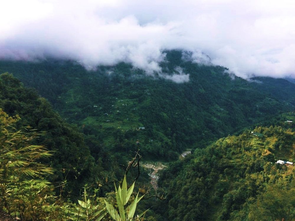 Фотография автора DALUI AMIT KUMAR