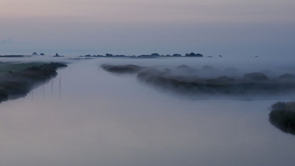 Photograph by Jarl Strömbom