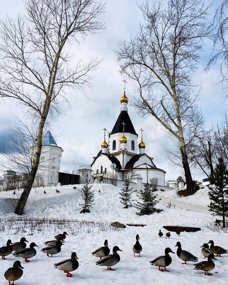 Фотография автора Наташа