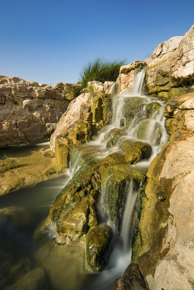 Photograph by Abdulrahman Sawalha