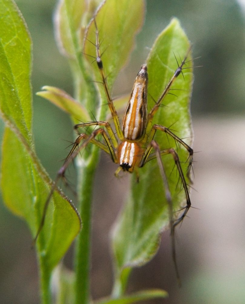 Photograph by Sajal Menon