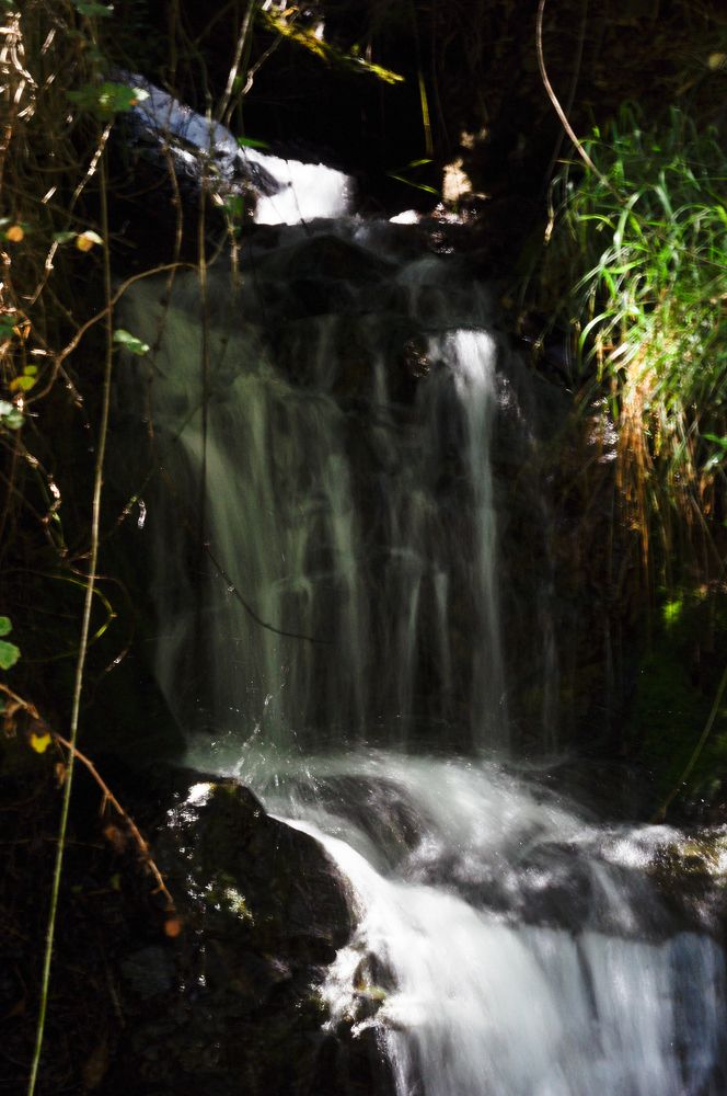 Photograph by Анна Глаговская