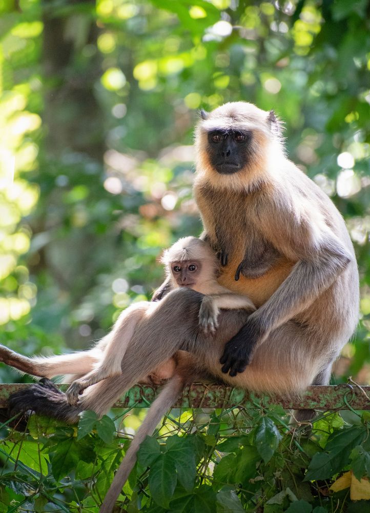 Фотография автора Aritro Bose