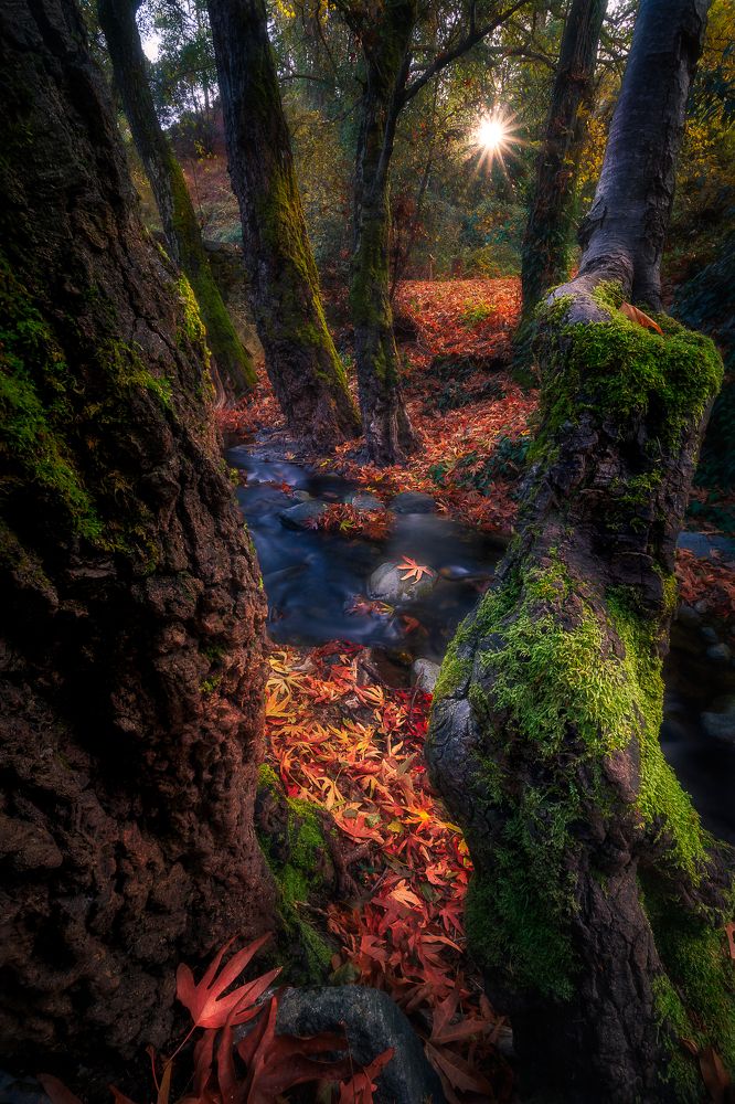 Photograph by Evgeni Fabis