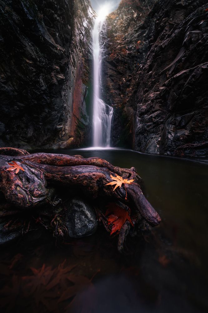 Photograph by Evgeni Fabis