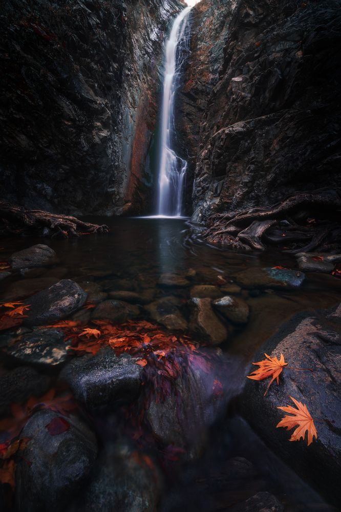 Photograph by Evgeni Fabis