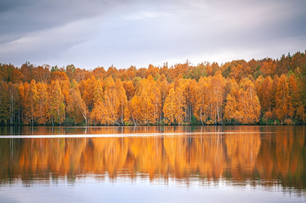 Photograph by Евгений Москвин