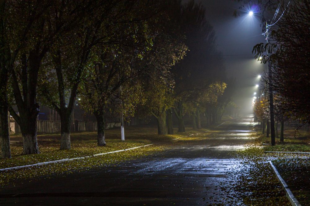 Photograph by Владислав Кулиш