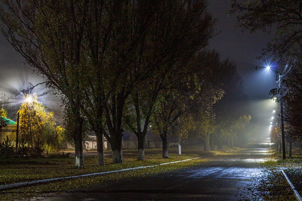 Photograph by Владислав Кулиш