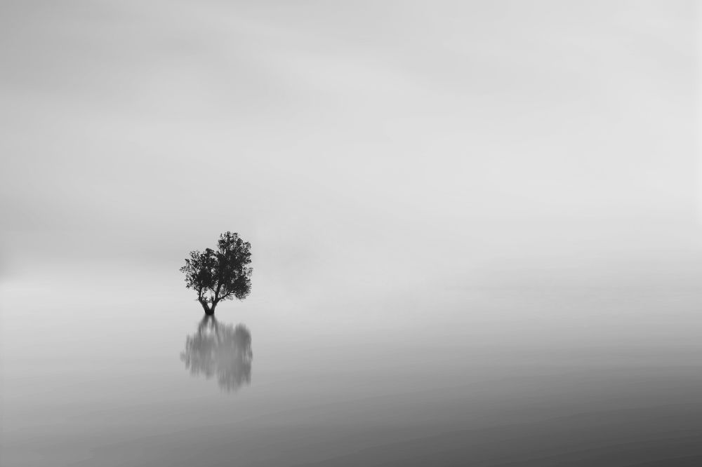 Photograph by Abbas alasadi