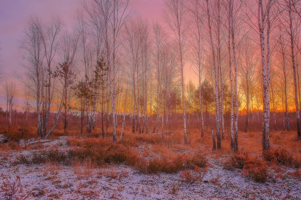 Photograph by Алеся Максименко