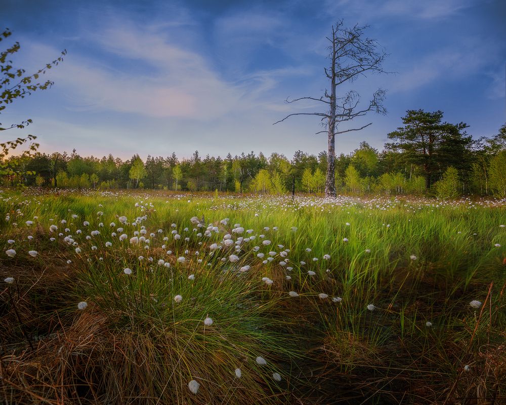 Photograph by Алеся Максименко