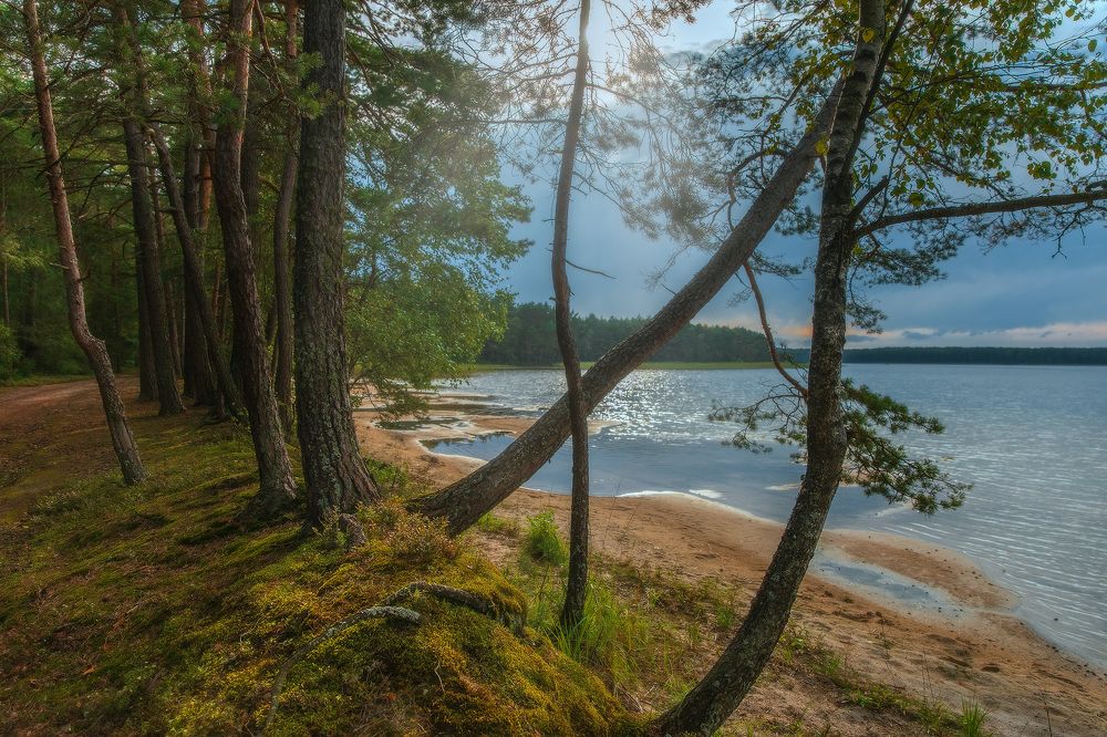 Photograph by Алеся Максименко