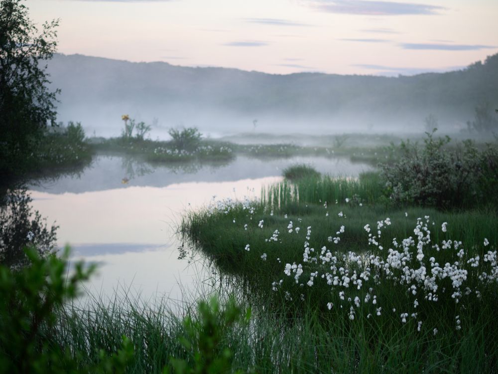 Photograph by Полина Машкова