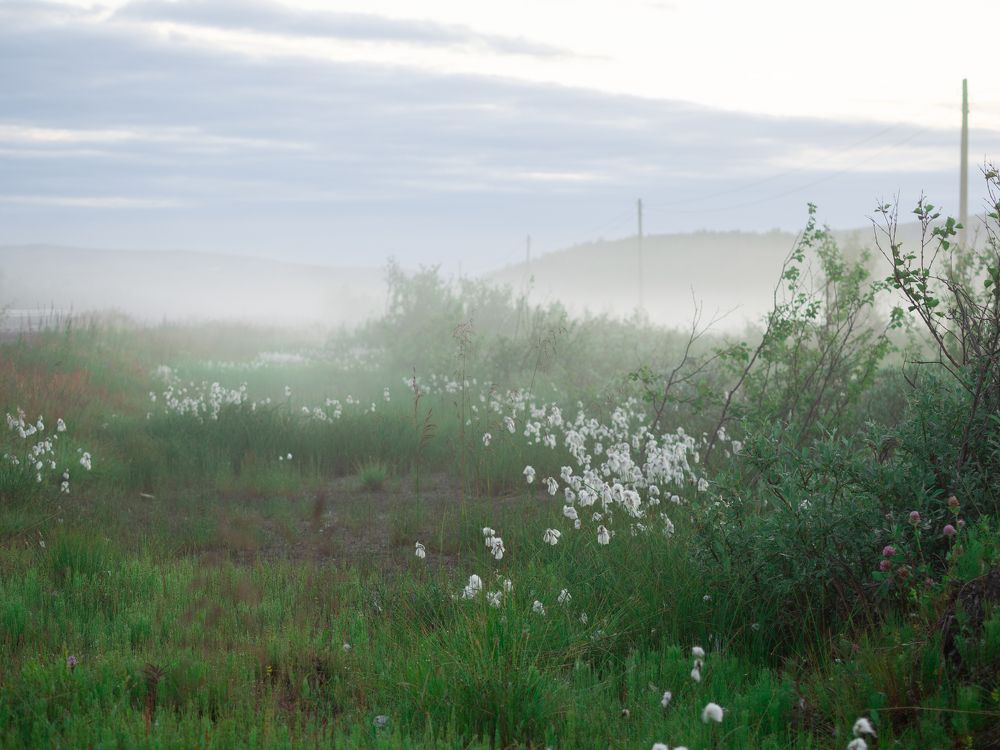 Photograph by Полина Машкова