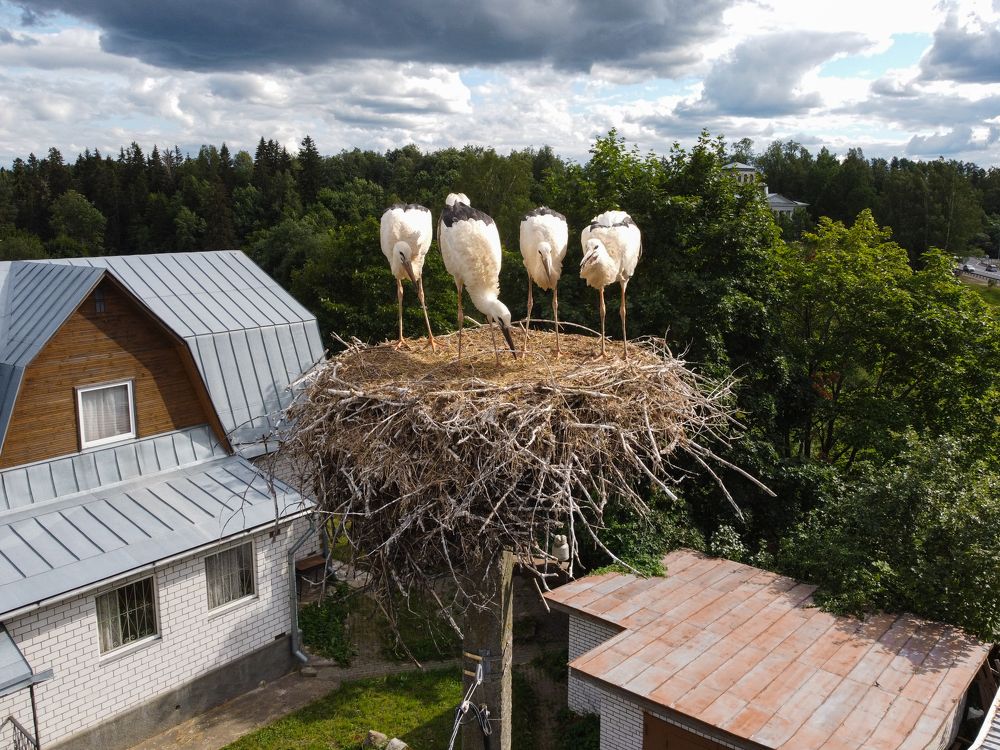 Photograph by Полина Машкова