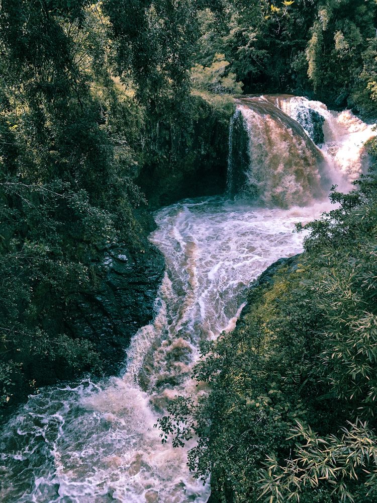 Photograph by Evgenia