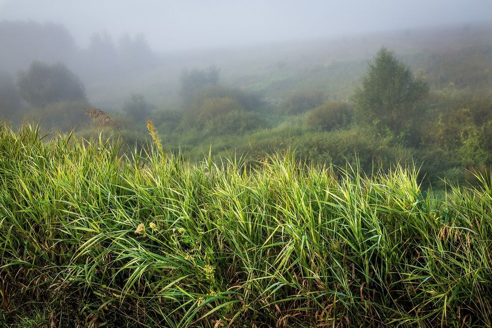 Photograph by Елена Быкова