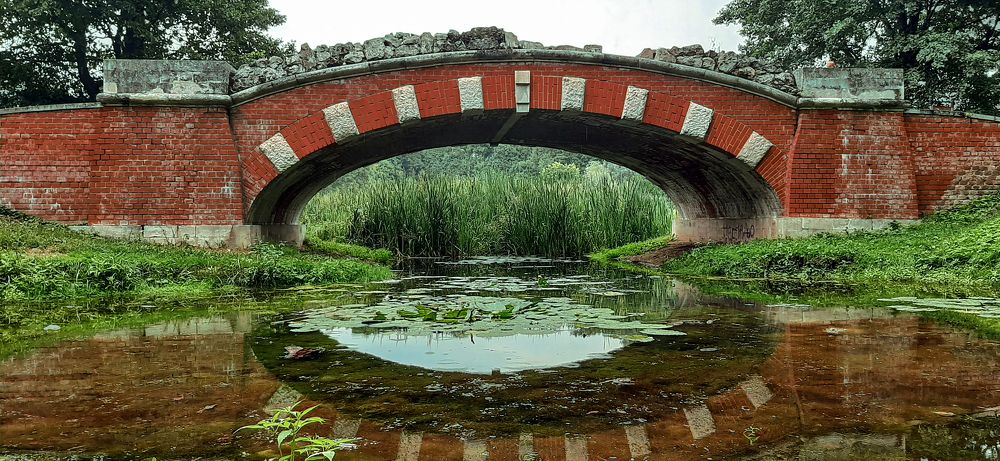 Фотография автора Дмитрий Нефёдов