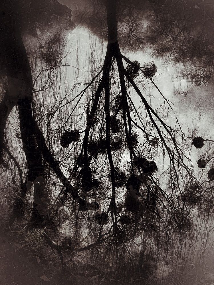 Photograph by Оксана Павлюченко