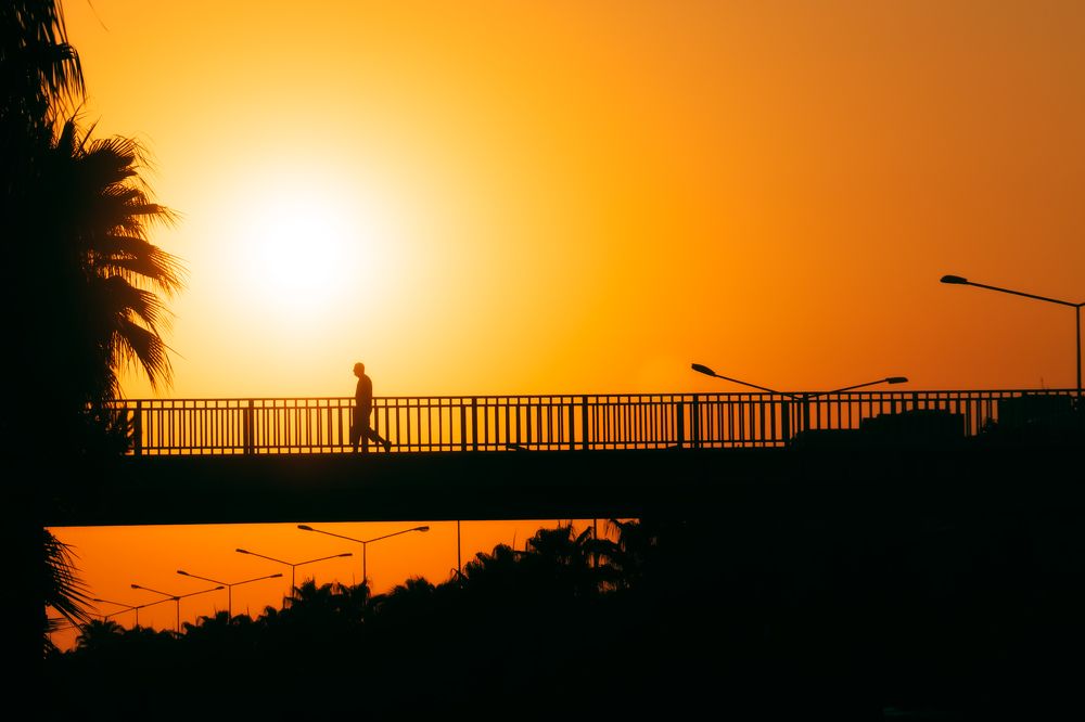 Photograph by Света Богоявленская