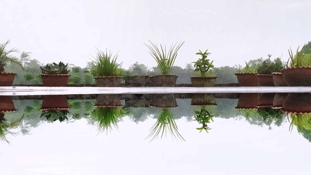 Photograph by Shubhra Das