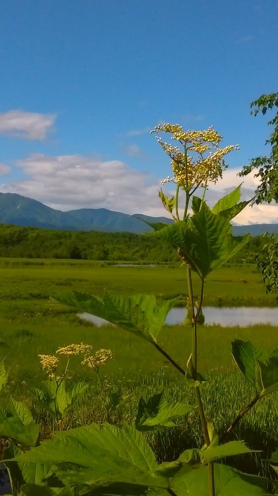 Фотография автора Наталья Евдокимова
