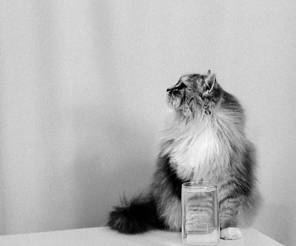 Photograph by Nadezhda Serdyuk