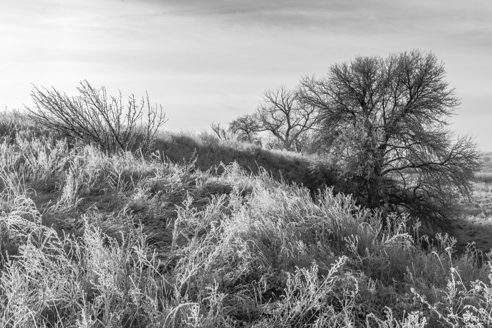 Photograph by Андрей Косенко