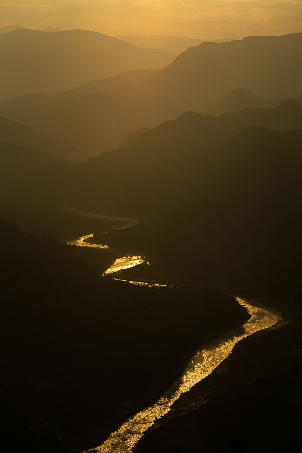 Photo #6834077