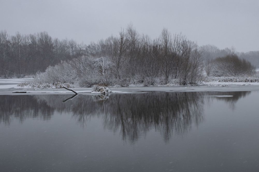 Фотография автора Веста Ягужинская