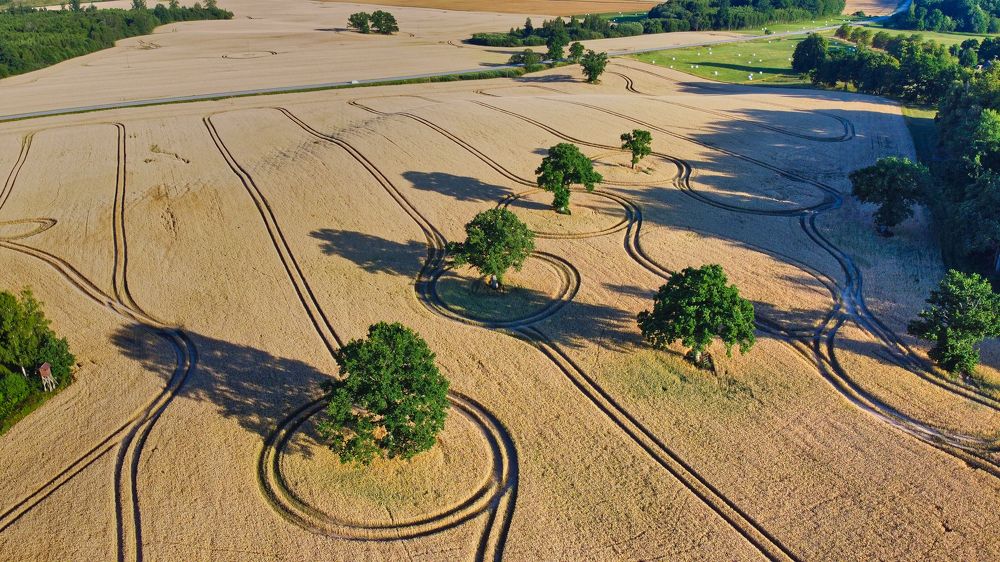 Photograph by Jānis Sērdienis