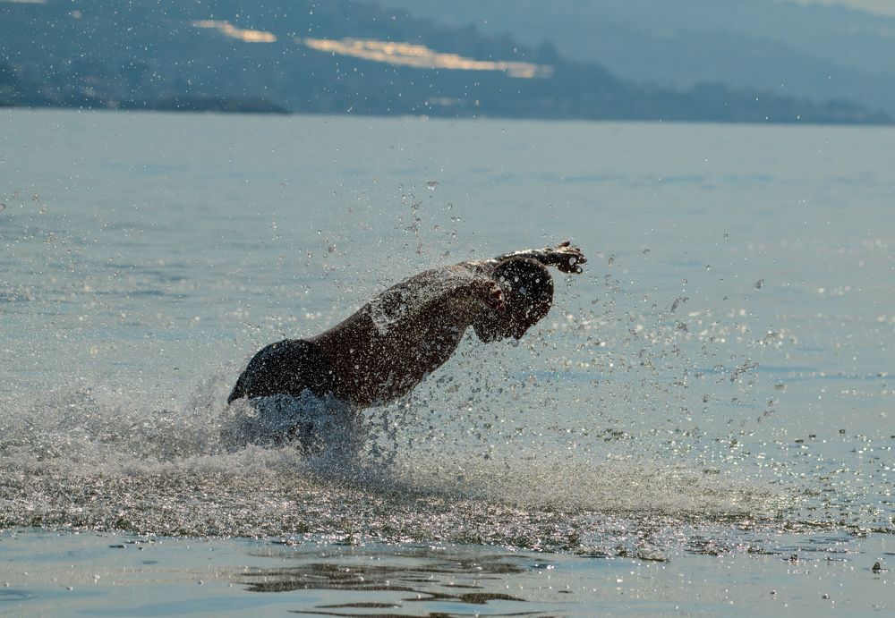 man jumping into the sea