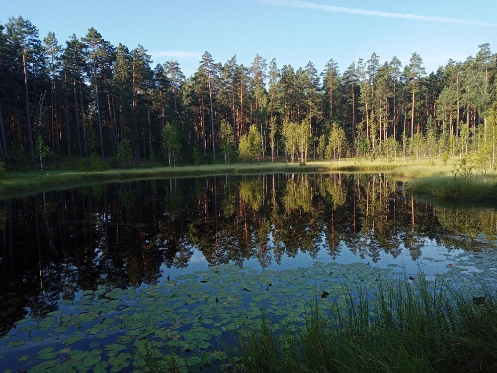 Photo #6834265