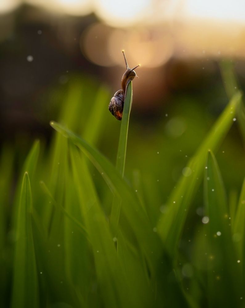 Photograph by Юлия Ильина