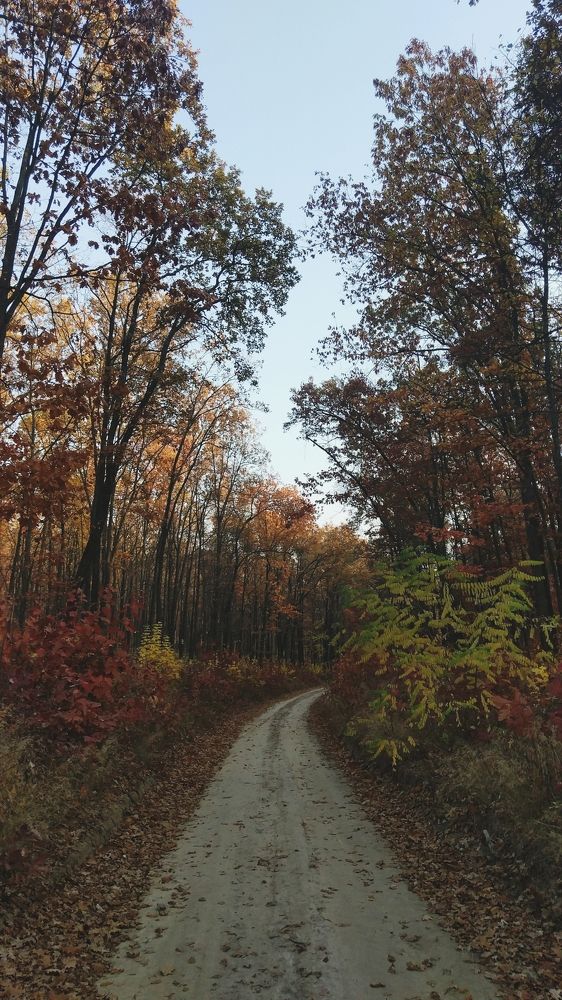 Photograph by Владимир Силенко