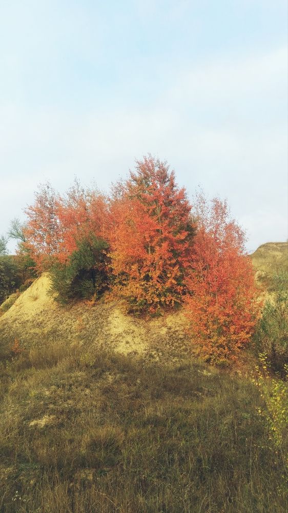 Photograph by Владимир Силенко