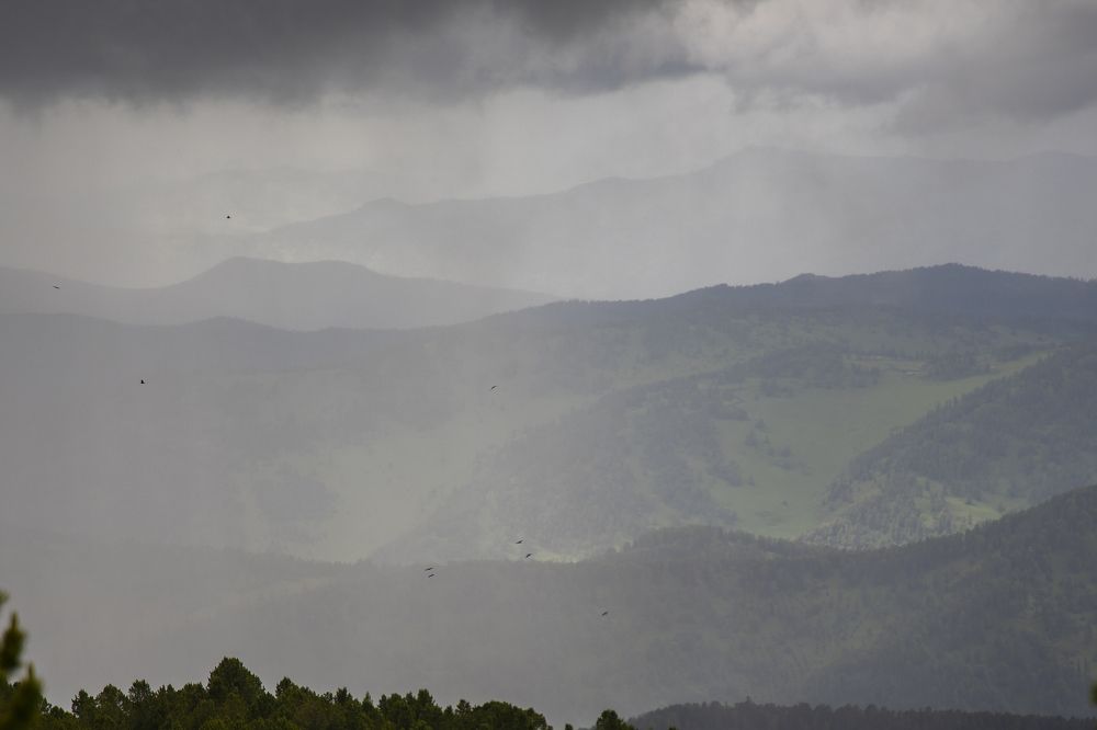 Photograph by Юлия Лазебная