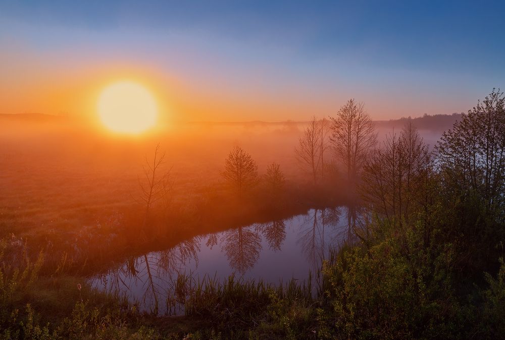 Photograph by Алеся Максименко