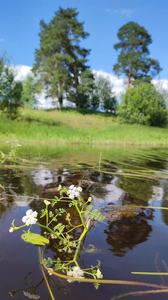 Photograph by Елена Васильева