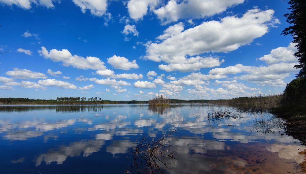 Photograph by Елена Васильева