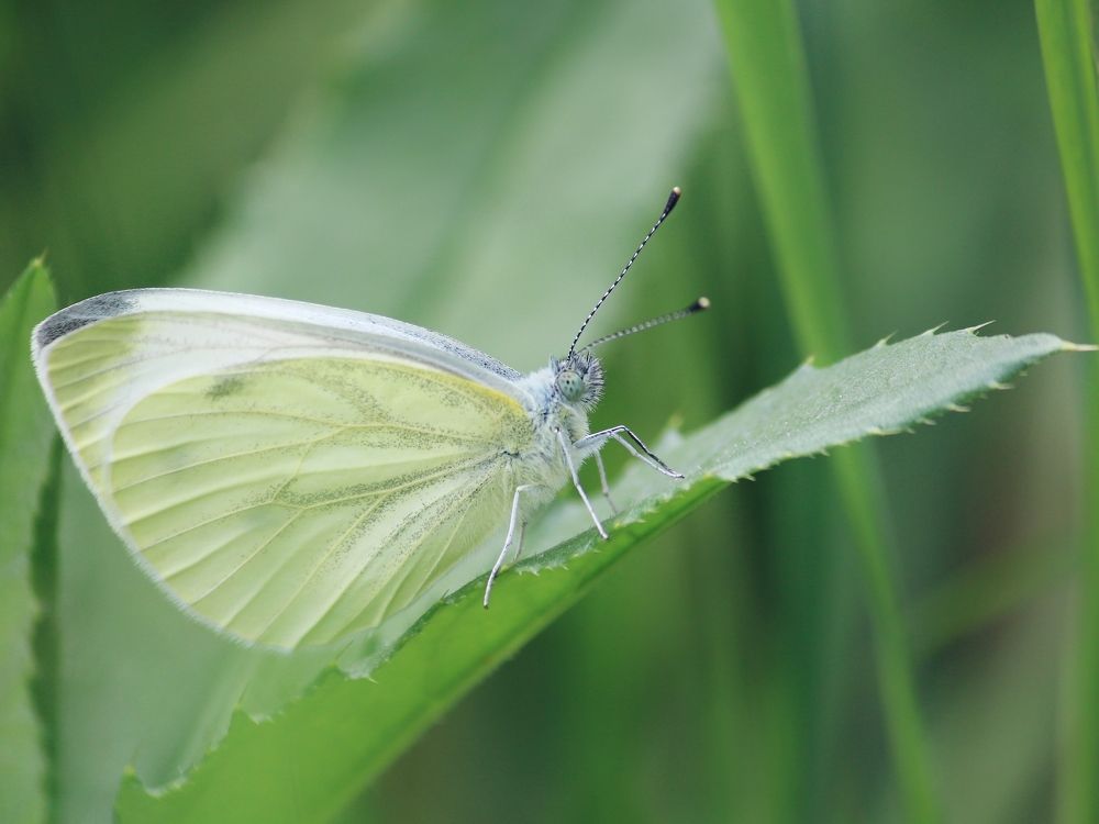Photograph by Юлия Серазетдинова
