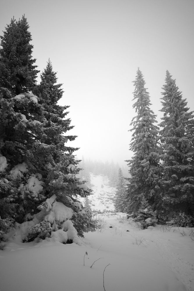 Photograph by Екатерина Вострякова