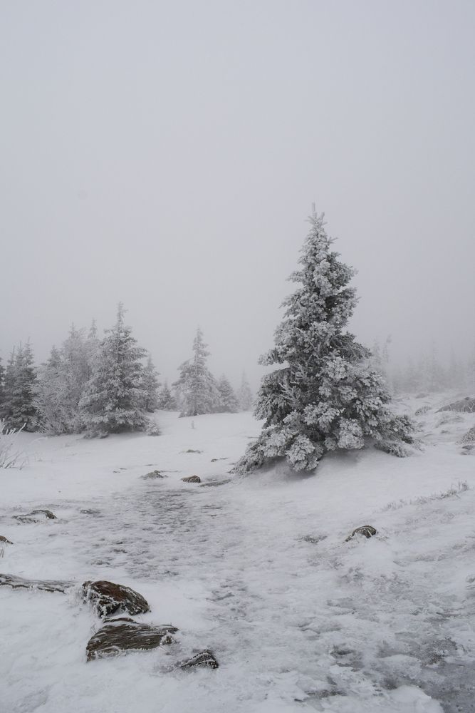 Photograph by Екатерина Вострякова