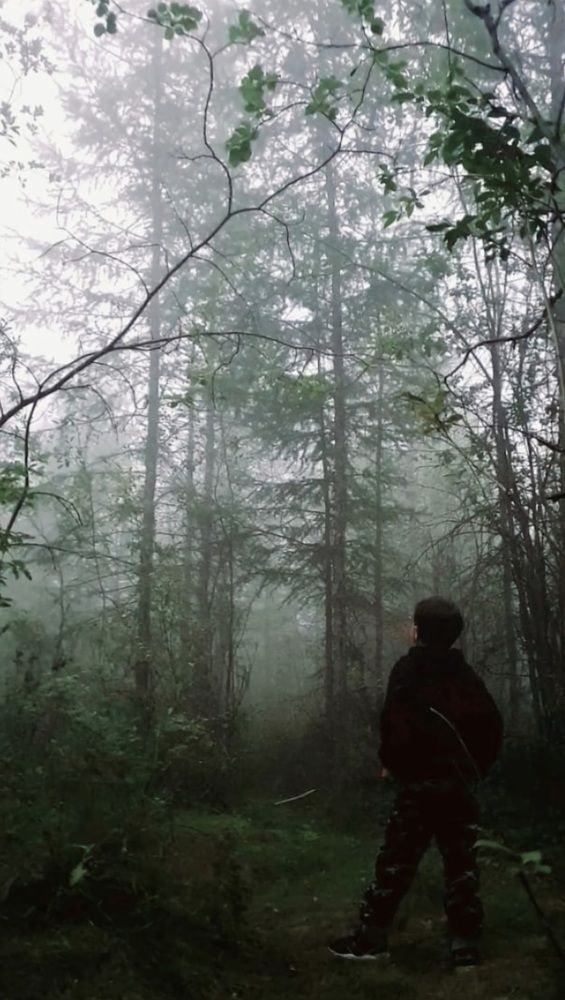 Photograph by Альбина Алексеева - Бугименова