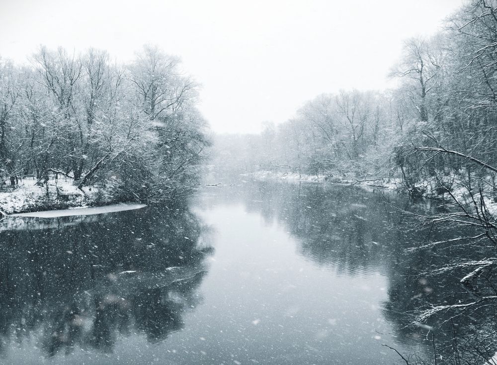 Photograph by Victoriia